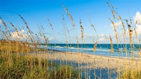 daytona beach nudes|Top Nude Beaches in Florida 